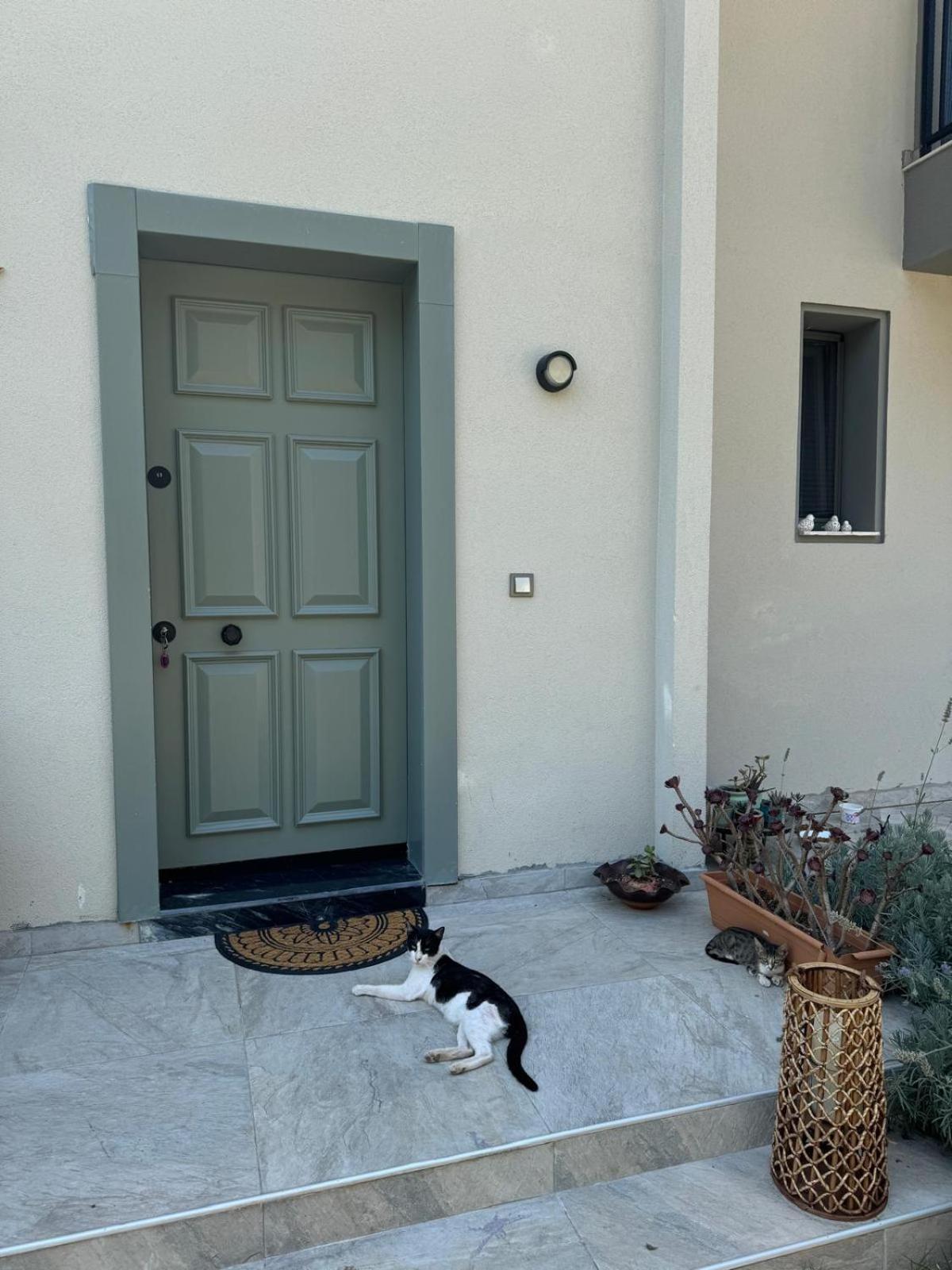 Suna Summer House Marmaris Eksteriør billede
